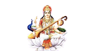 download removebg preview (1)